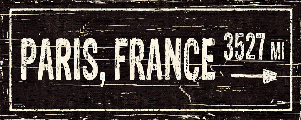 Reproduction of Destination Signs I by Pela Studio - Wall Decor Art