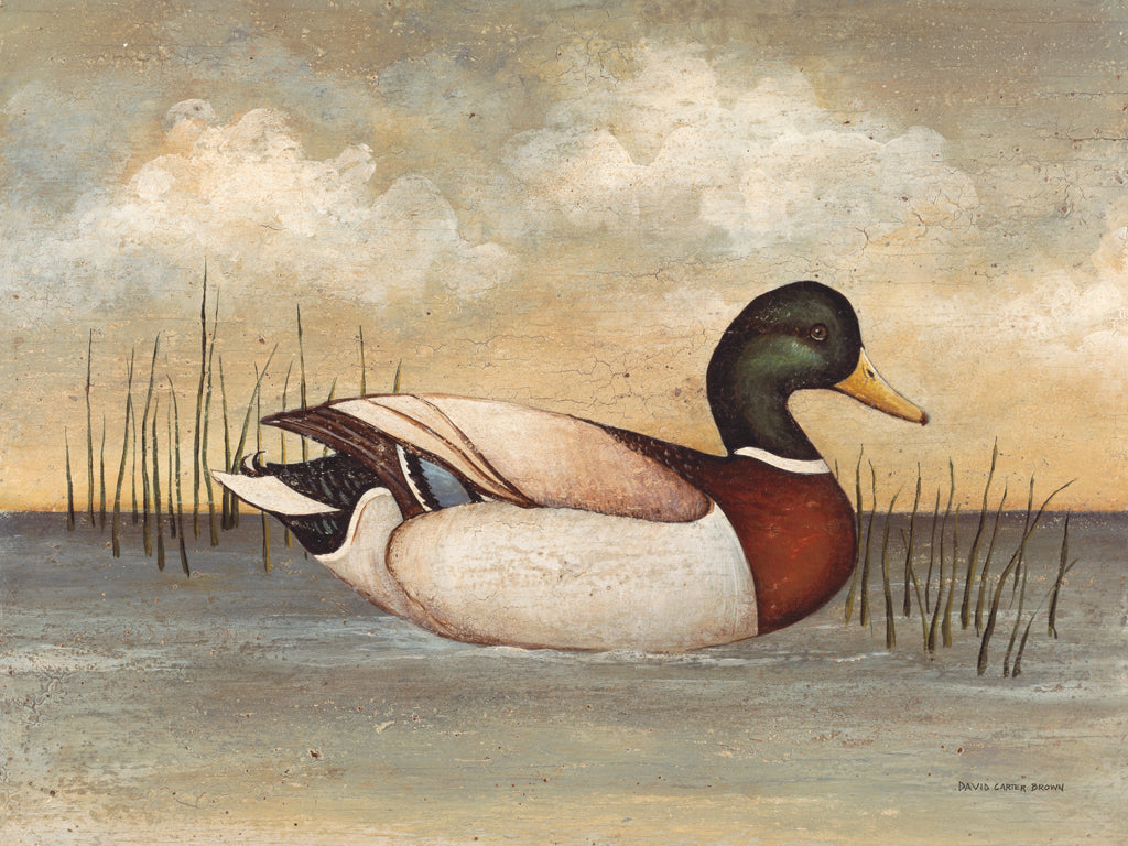 Reproduction of Mallard by David Carter Brown - Wall Decor Art