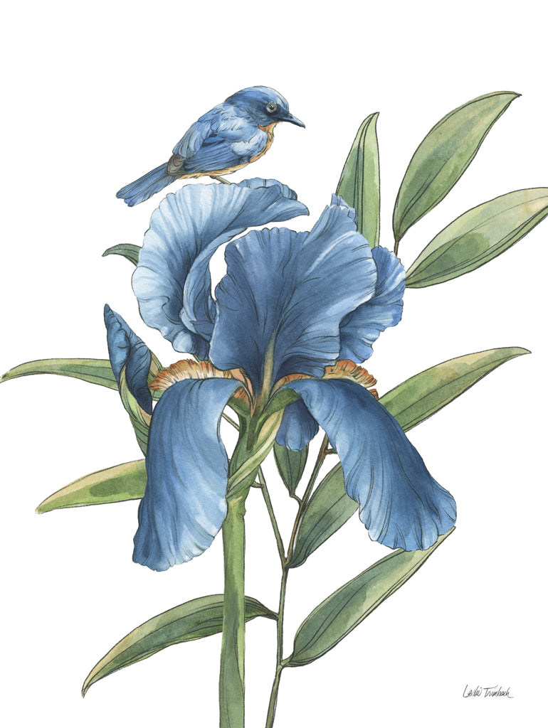Reproduction of Blue Botanica VII by Leslie Trimbach - Wall Decor Art