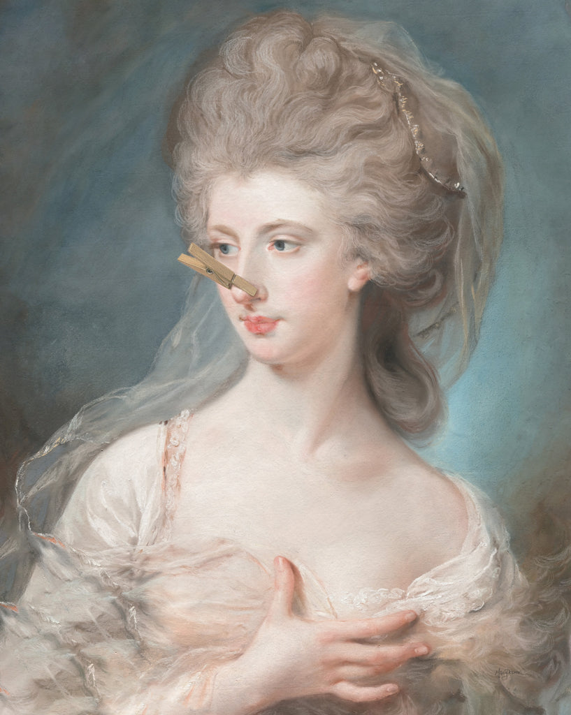 Reproduction of Fancy Bathroom Portrait II by Mary Urban - Wall Decor Art