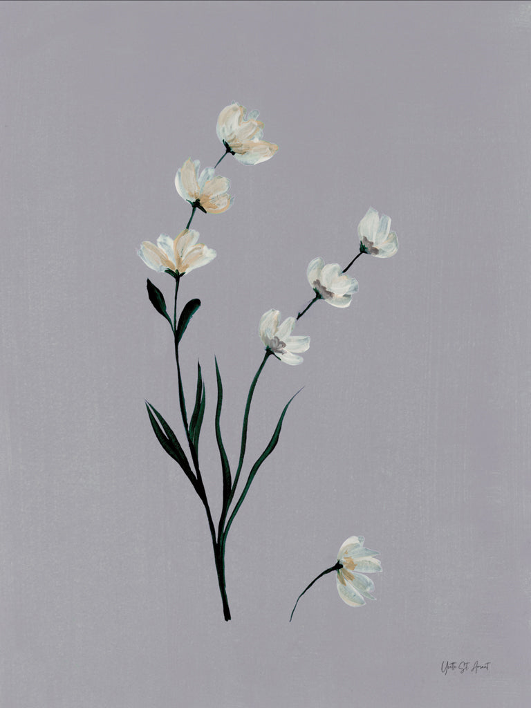 Reproduction of Forest Finds I by Yvette St. Amant - Wall Decor Art