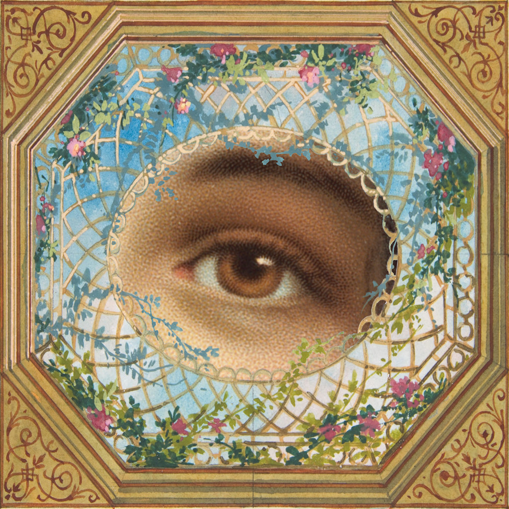 Reproduction of Eyes Are Watching II by Wild Apple Portfolio - Wall Decor Art