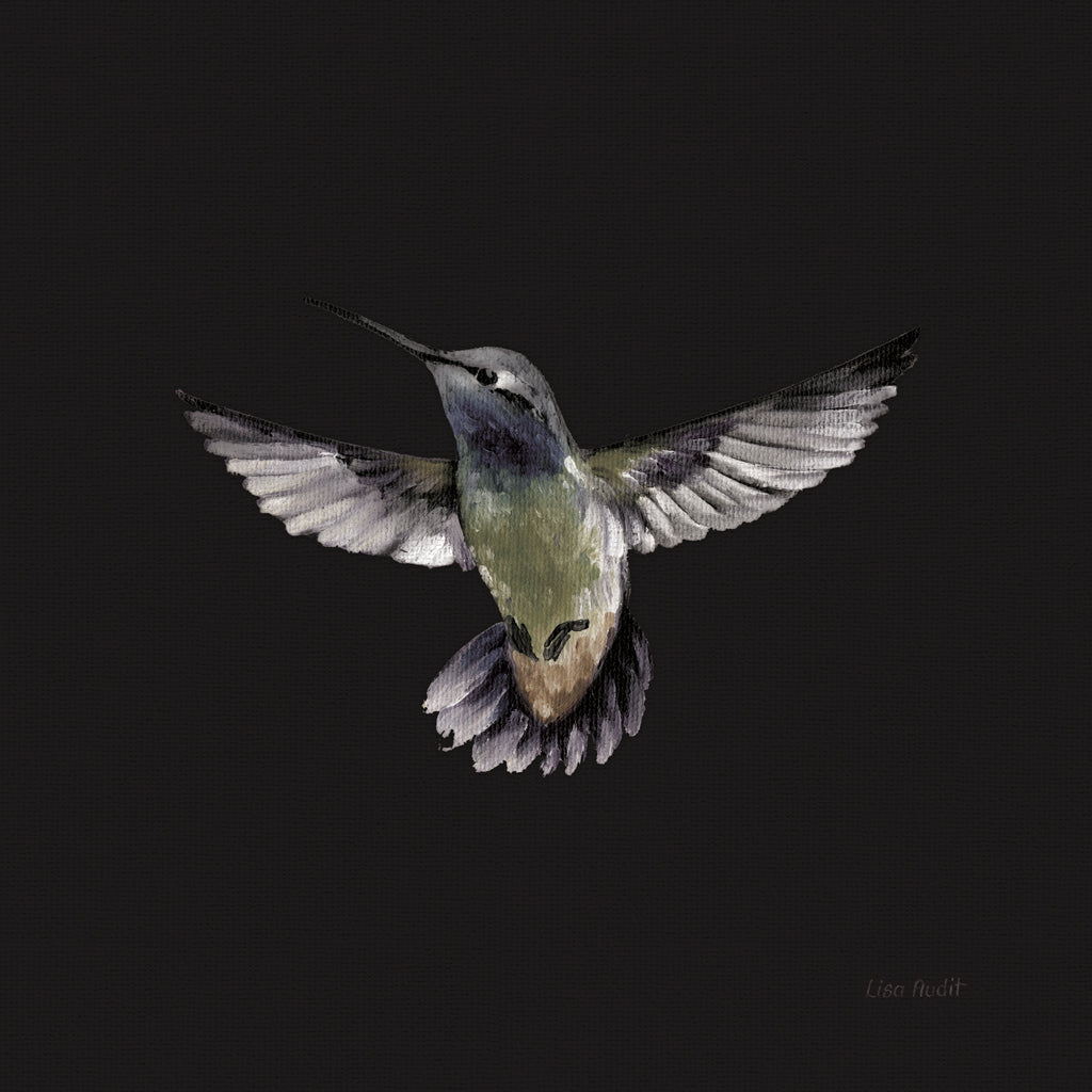 Reproduction of Spring Nectar VI by Lisa Audit - Wall Decor Art