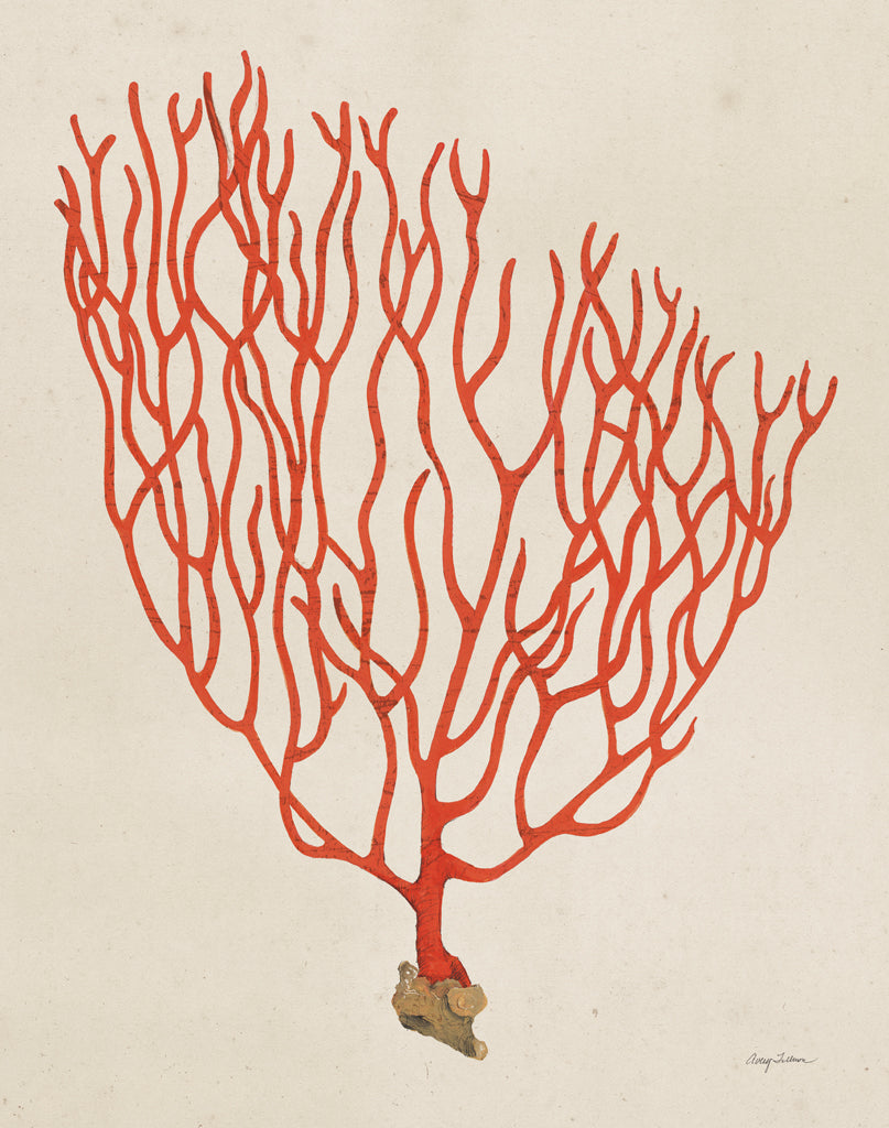 Reproduction of Textured Coral IV v2 by Avery Tillmon - Wall Decor Art