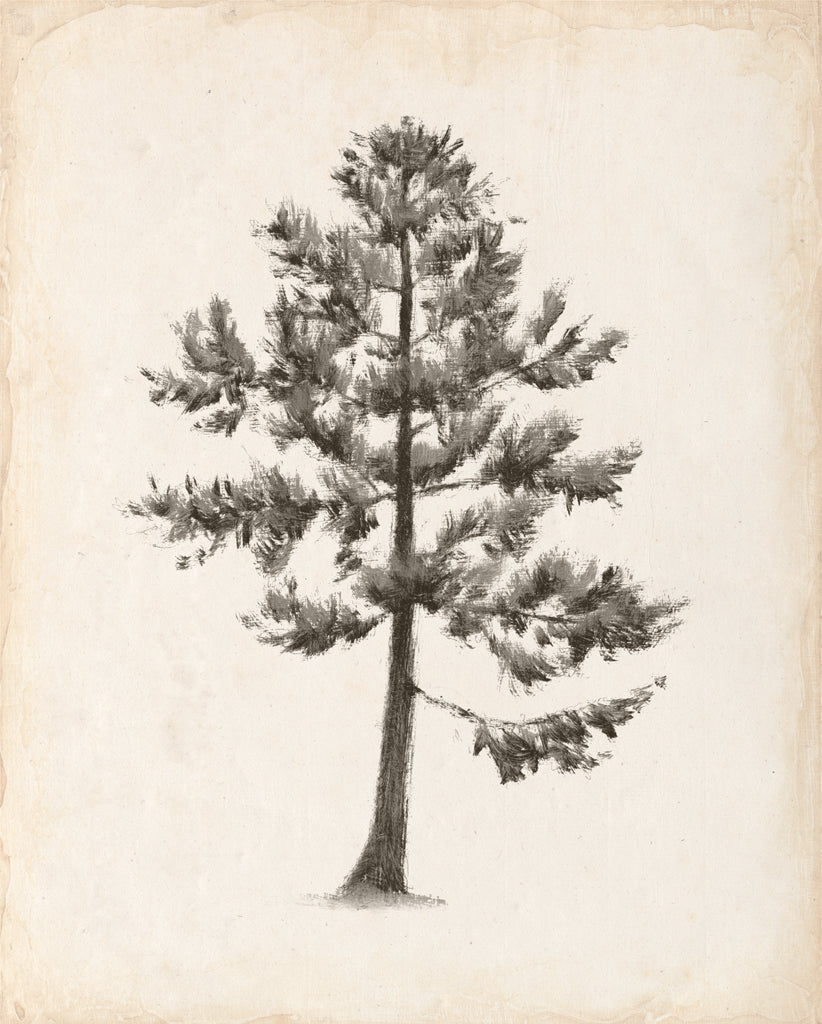 Reproduction of Into the Woods Trees I v2 by Emily Adams - Wall Decor Art