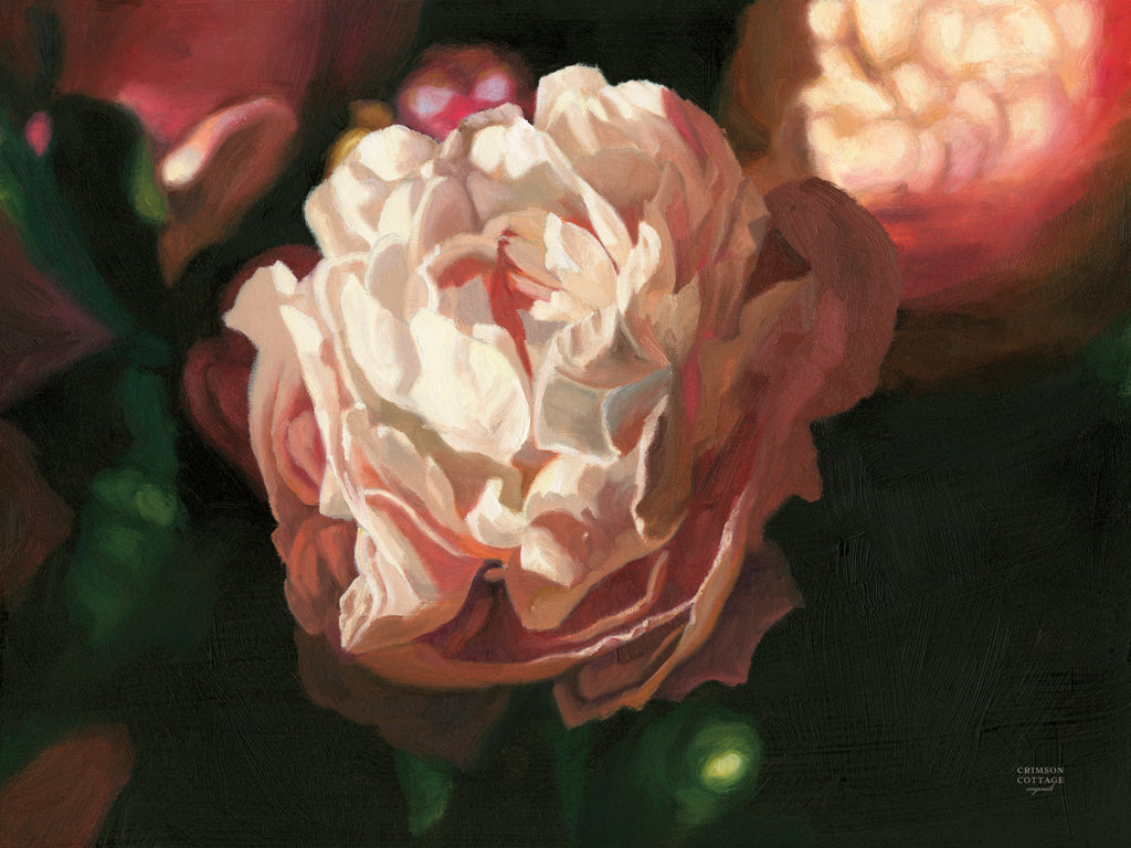 Reproduction of Pink Peony Bloom by Crimson Cottage - Wall Decor Art