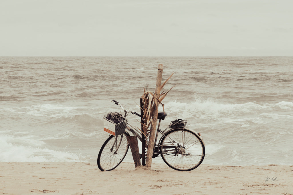 Reproduction of Beach Bike by Deborah Revell - Wall Decor Art