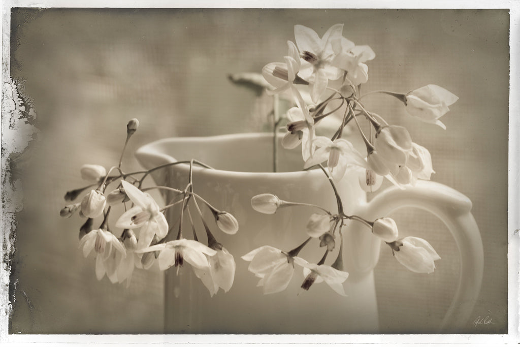 Reproduction of Cruche et Fleur de Printemps by Deborah Revell - Wall Decor Art
