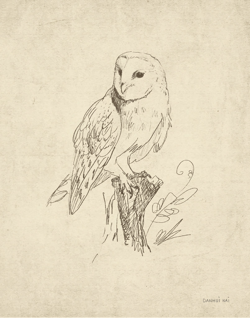 Reproduction of Woodland Owl by Danhui Nai - Wall Decor Art