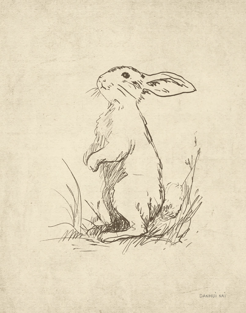 Reproduction of Woodland Rabbit by Danhui Nai - Wall Decor Art