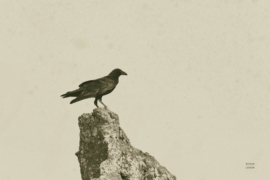 Reproduction of Raven Watch Sepia by Nathan Larson - Wall Decor Art