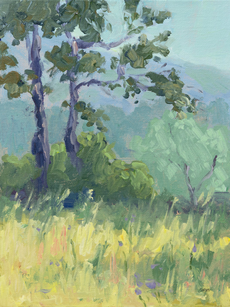 Reproduction of Riviera Hike by Carson Overstreet - Wall Decor Art