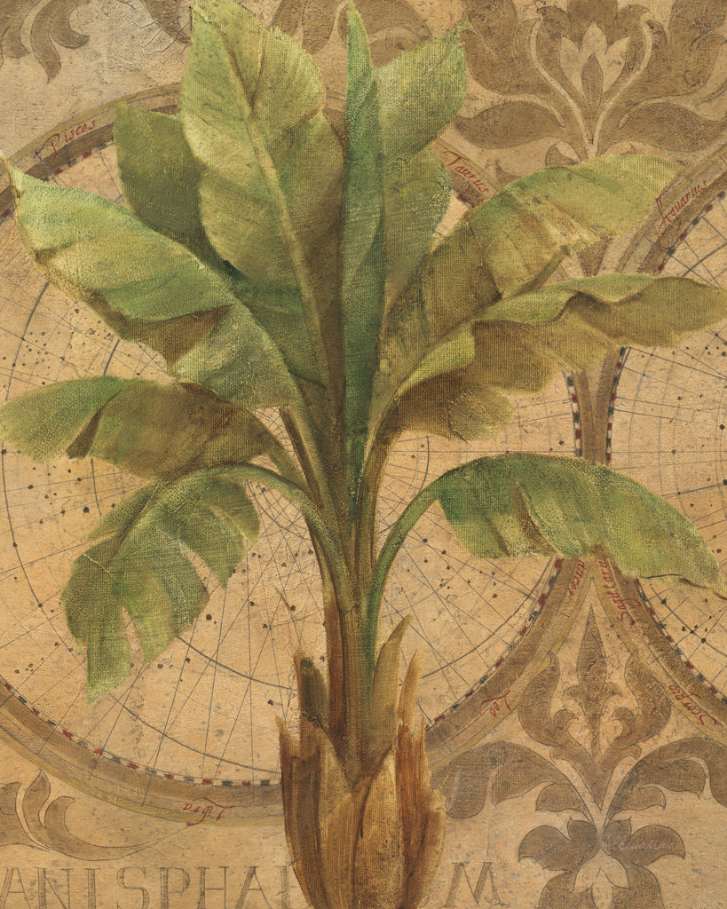 Reproduction of Decorative Palm I by Albena Hristova - Wall Decor Art