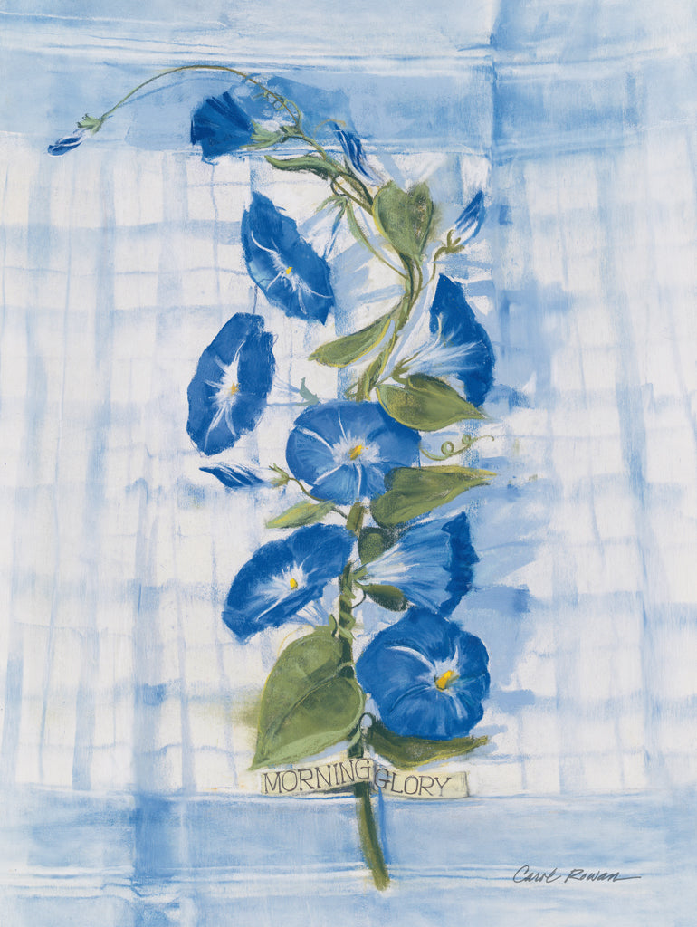 Reproduction of Morning Glory on Linen by Carol Rowan - Wall Decor Art