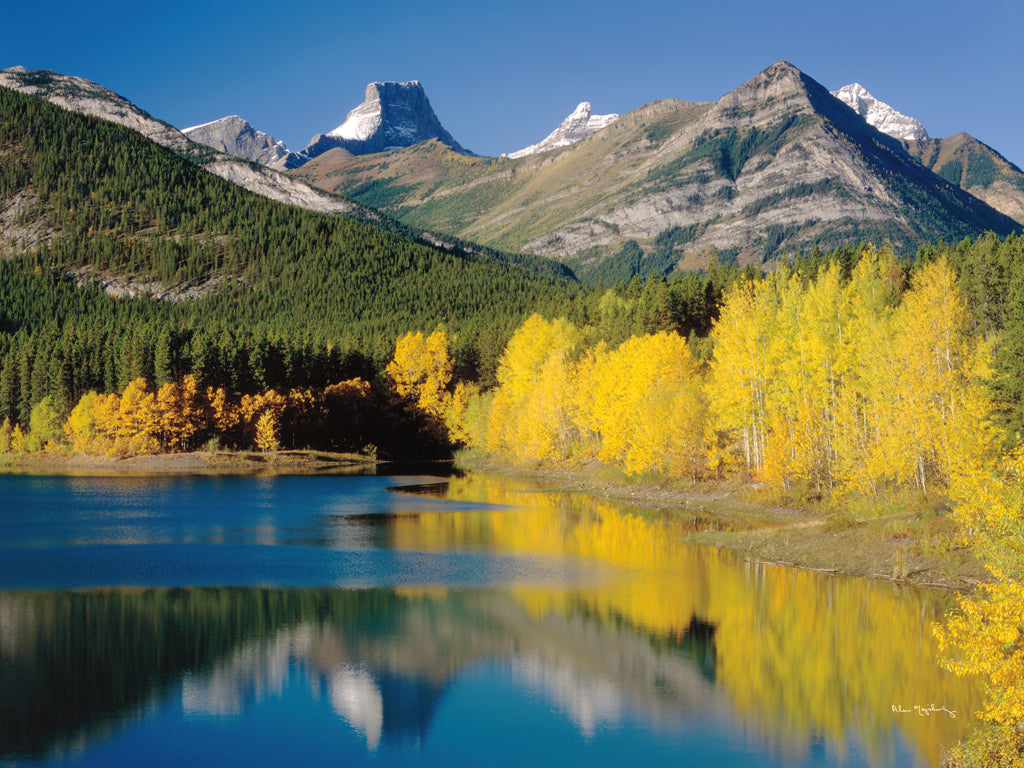 Reproduction of Wedge Pond by Alan Majchrowicz - Wall Decor Art