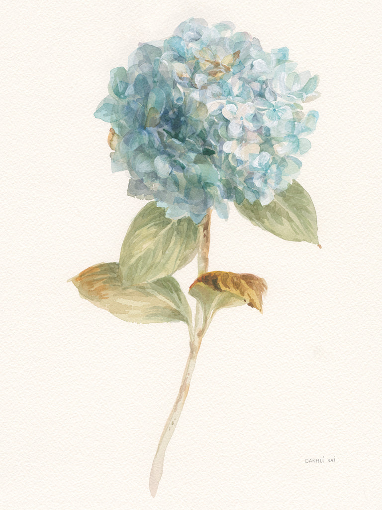 Reproduction of Garden Hydrangea by Danhui Nai - Wall Decor Art