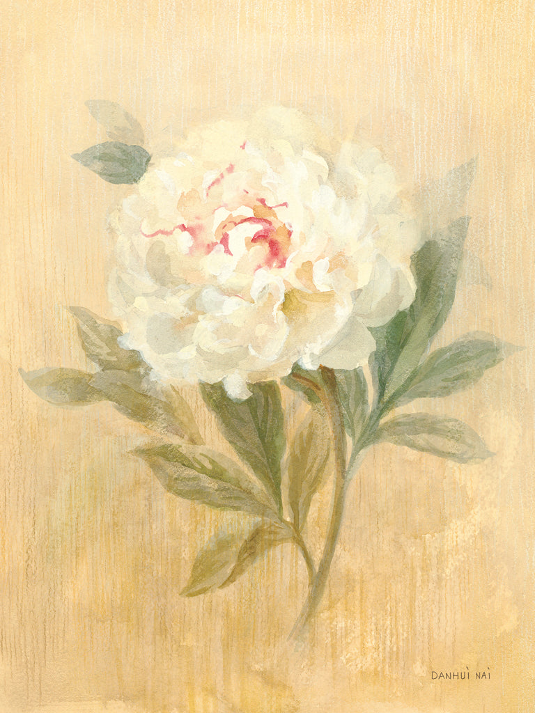 Reproduction of May Peony by Danhui Nai - Wall Decor Art