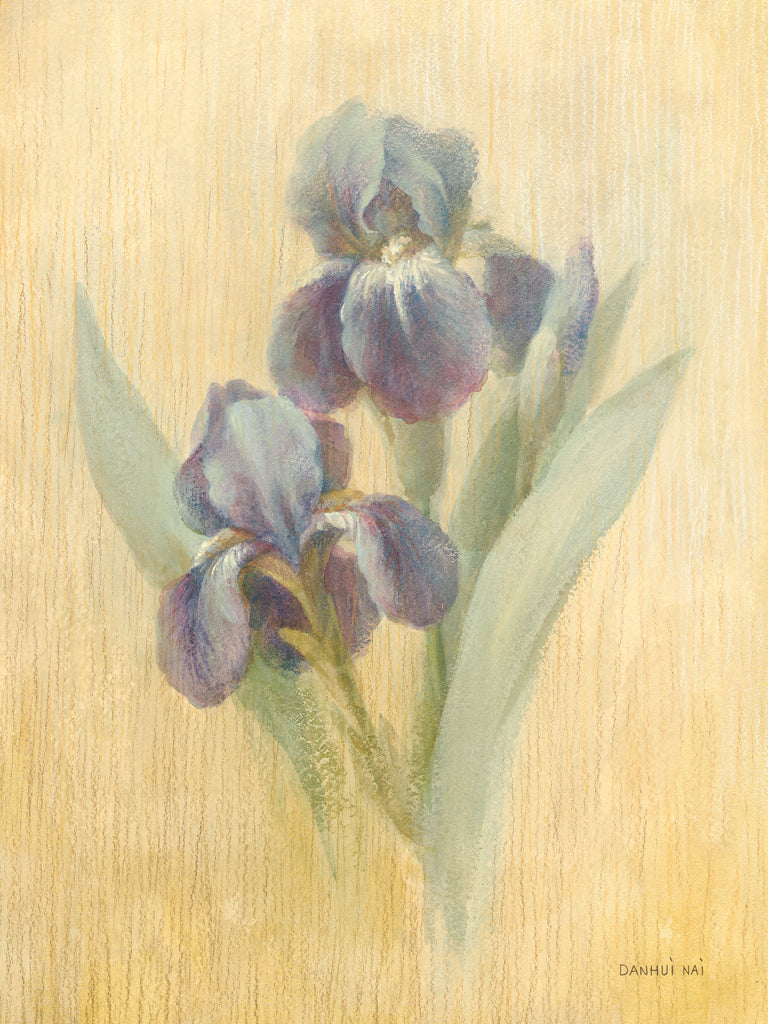 Reproduction of June Iris by Danhui Nai - Wall Decor Art