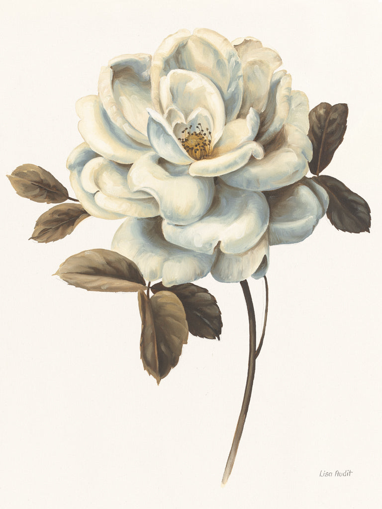 Reproduction of Floral Bliss Rose II by Lisa Audit - Wall Decor Art