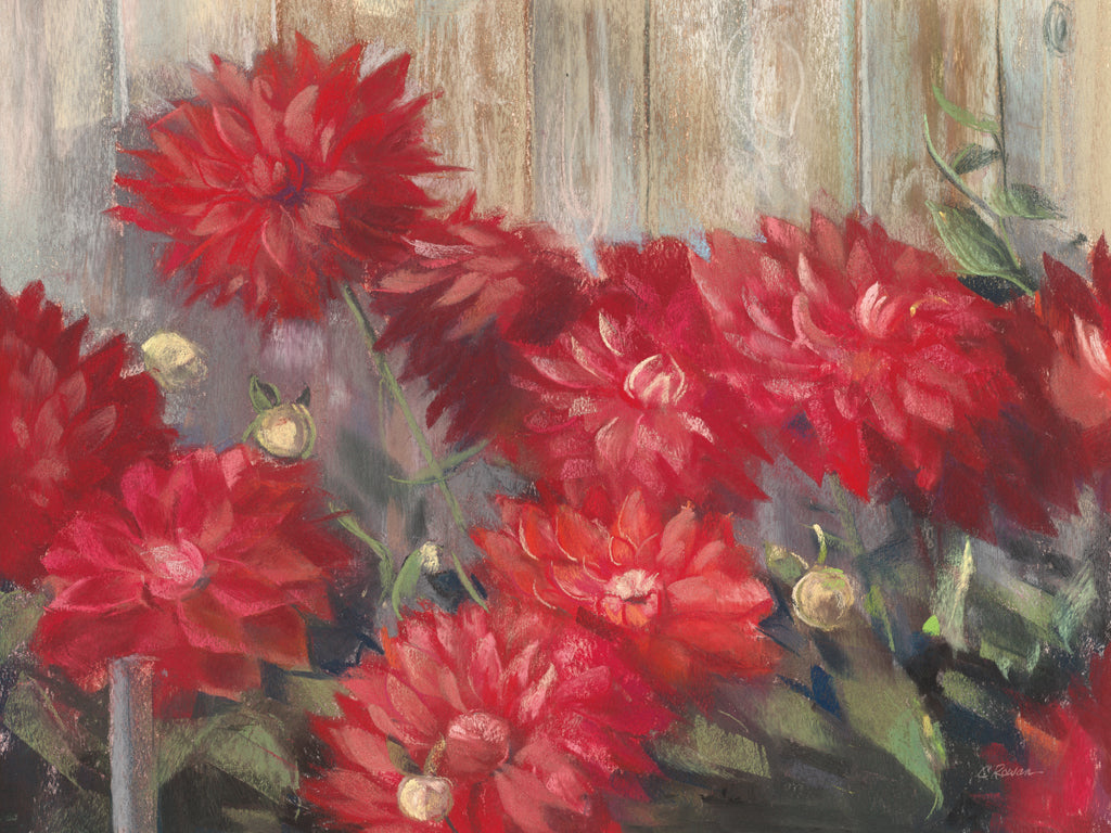 Reproduction of Red Dahlias by Carol Rowan - Wall Decor Art