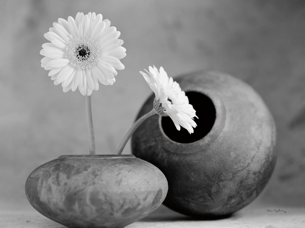 Reproduction of Two Gerber Daisies and raku pots by Alan Majchrowicz - Wall Decor Art