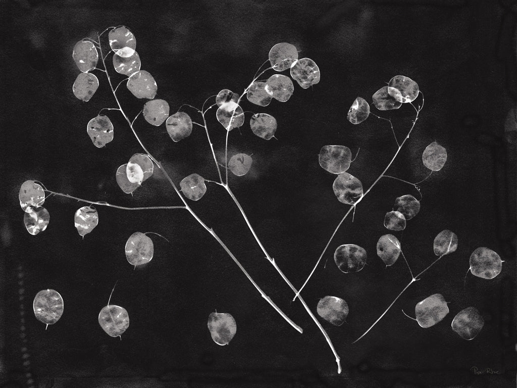 Reproduction of Nature by the Lake Honesty Black by Piper Rhue - Wall Decor Art