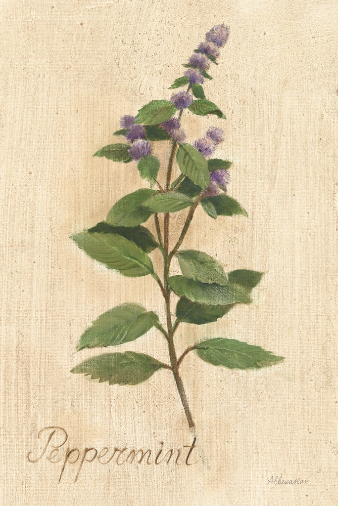 Reproduction of Peppermint by Albena Hristova - Wall Decor Art