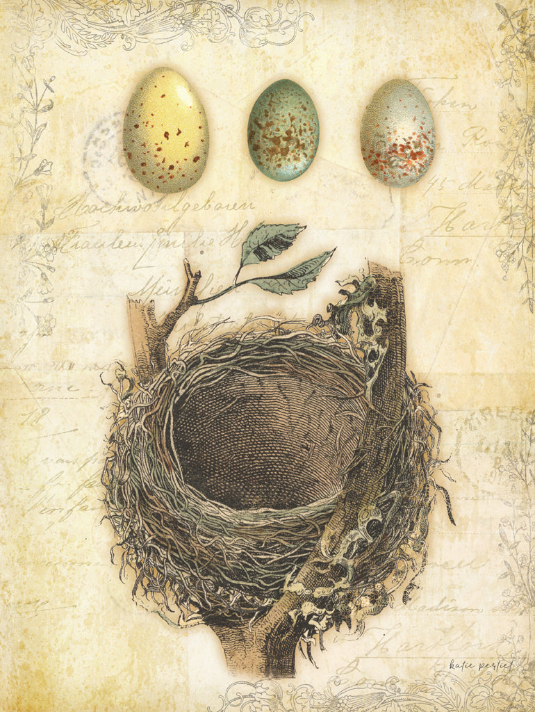 Reproduction of Spring Nests I by Katie Pertiet - Wall Decor Art