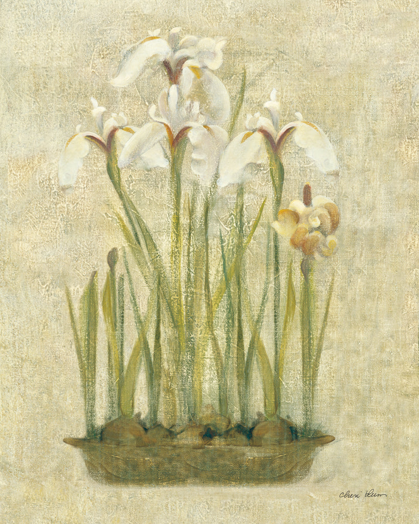 Reproduction of Bulbs of Spring II by Cheri Blum - Wall Decor Art