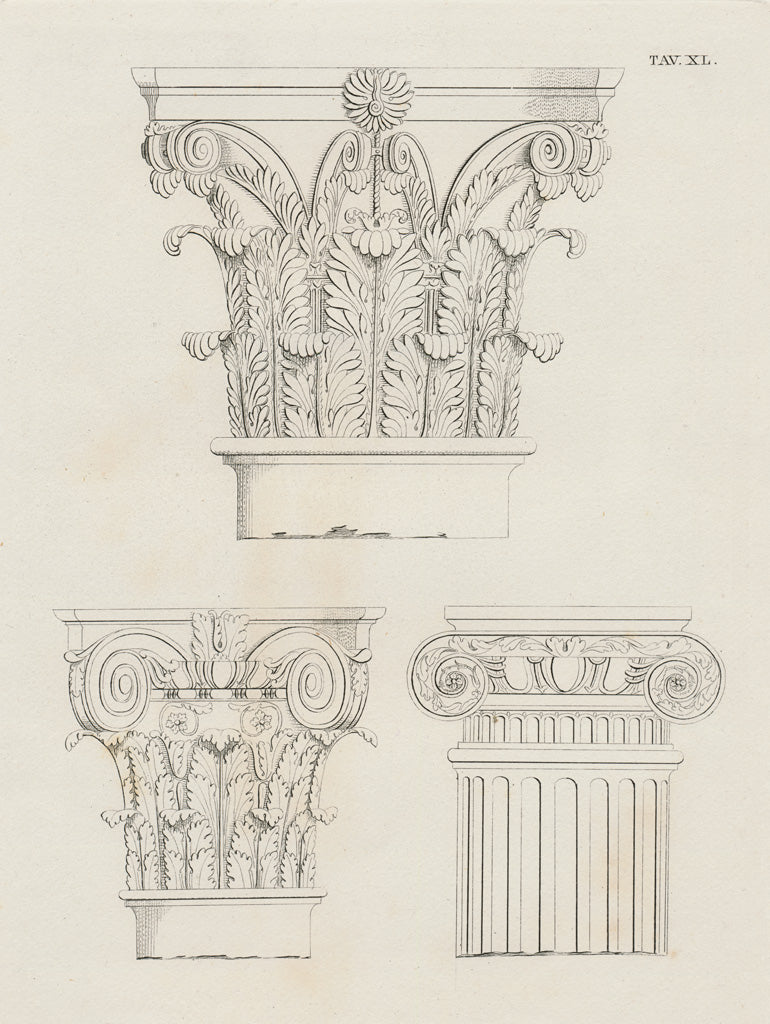 Reproduction of Italian Volute by Wild Apple Portfolio - Wall Decor Art