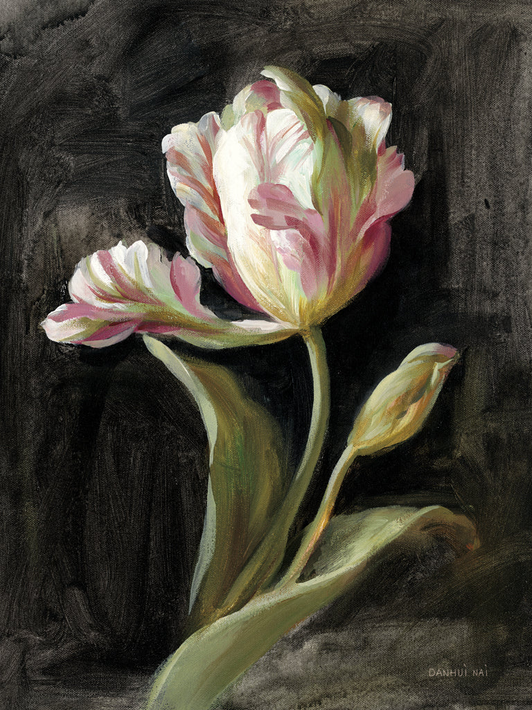 Reproduction of Tulip on Black by Danhui Nai - Wall Decor Art