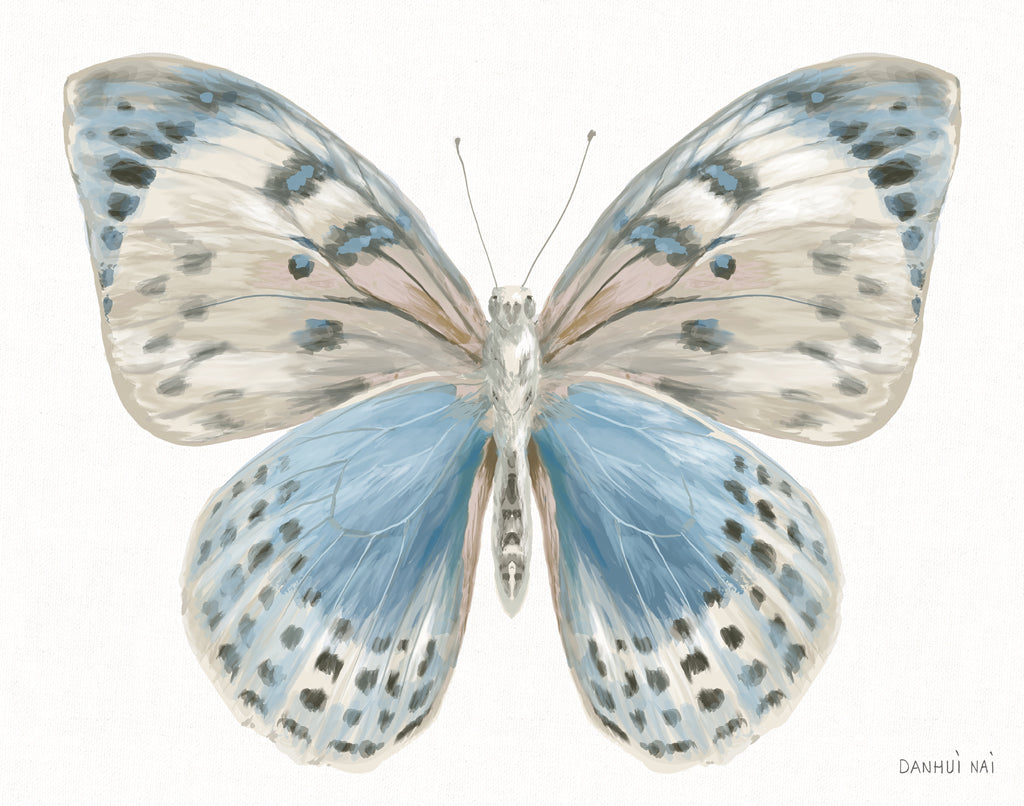 Reproduction of Beetles and Butterflies IV White by Danhui Nai - Wall Decor Art