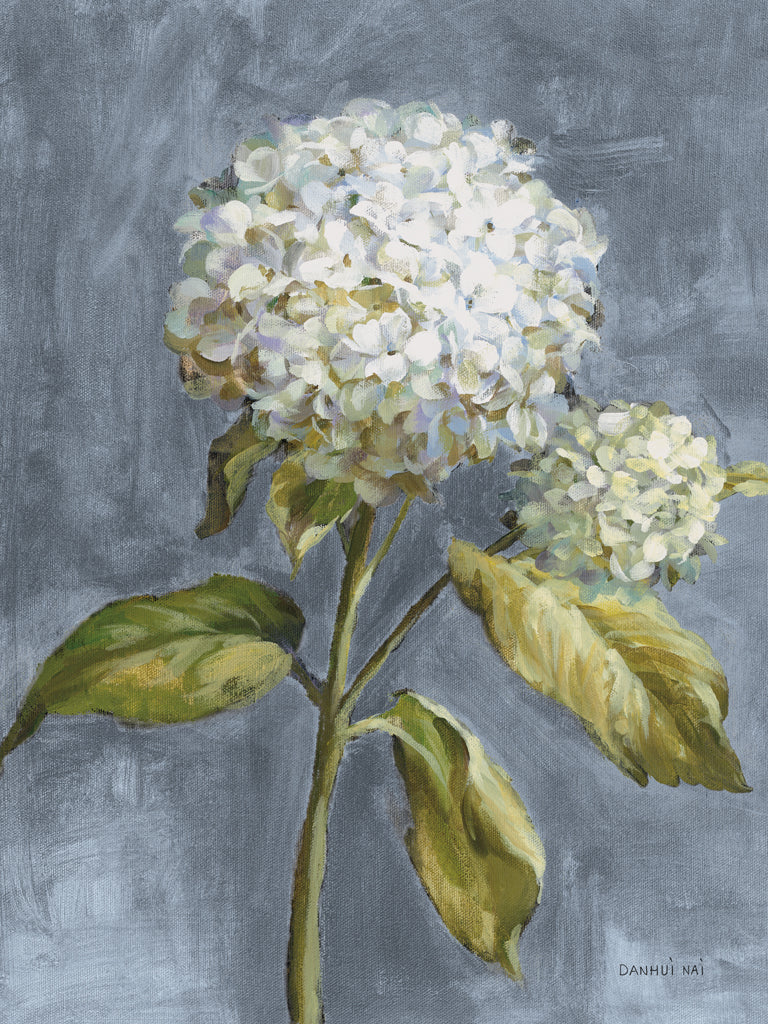 Reproduction of Hydrangea on Dusty Blue by Danhui Nai - Wall Decor Art
