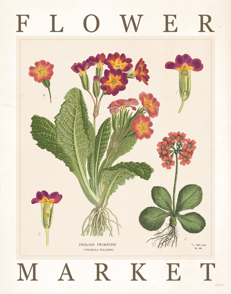 Reproduction of Flower Market Chart II by Sue Schlabach - Wall Decor Art