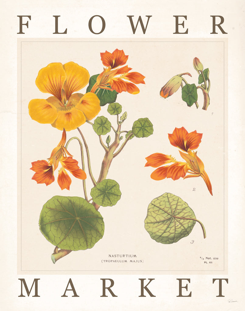 Reproduction of Flower Market Chart III by Sue Schlabach - Wall Decor Art