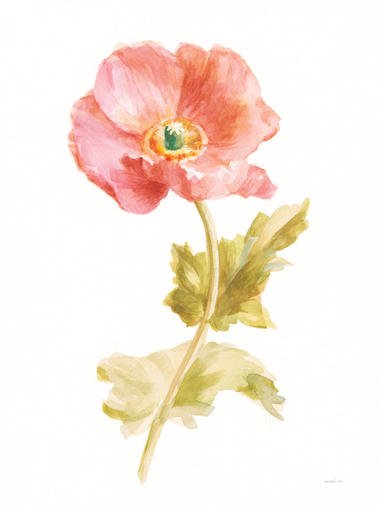 Reproduction of Garden Poppy on White by Danhui Nai - Wall Decor Art