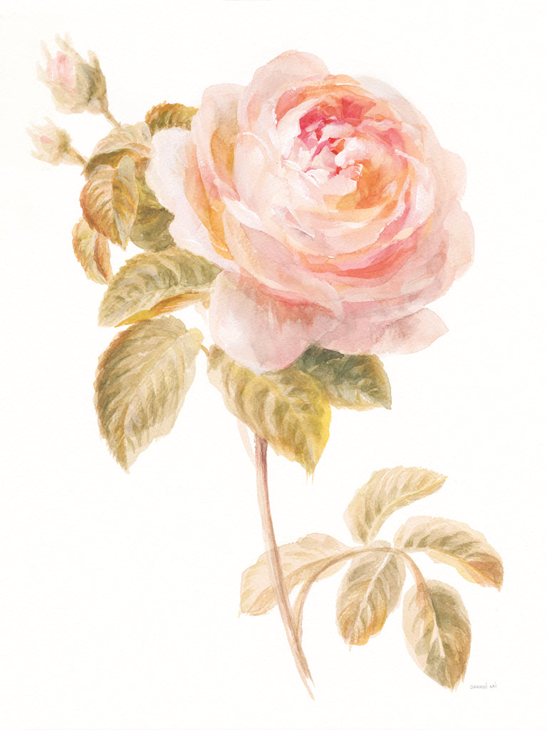 Reproduction of Garden Rose on White by Danhui Nai - Wall Decor Art
