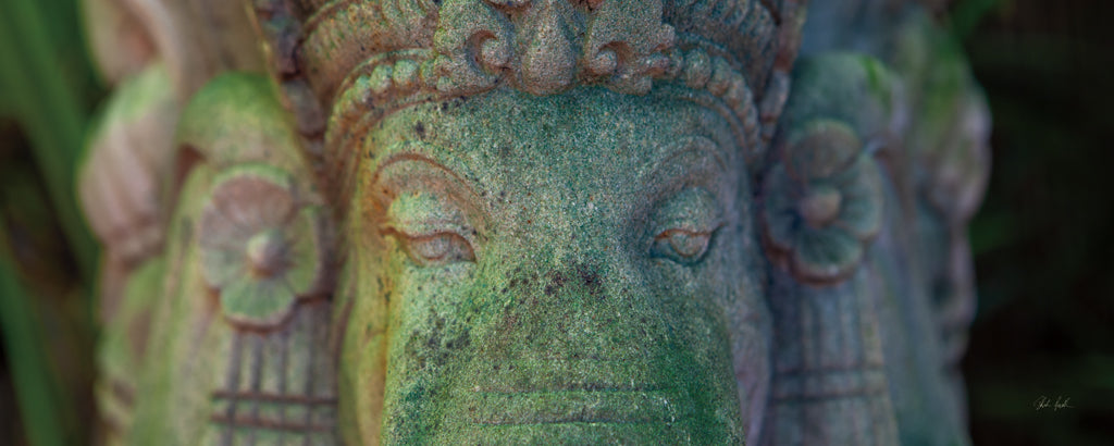 Reproduction of Ganesha Close Up by Deborah Revell - Wall Decor Art