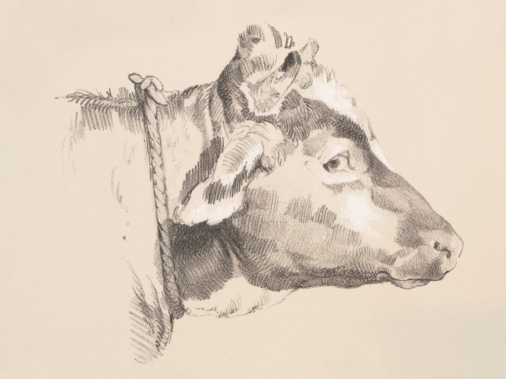 Reproduction of Farm Sketch IV by Wild Apple Portfolio - Wall Decor Art