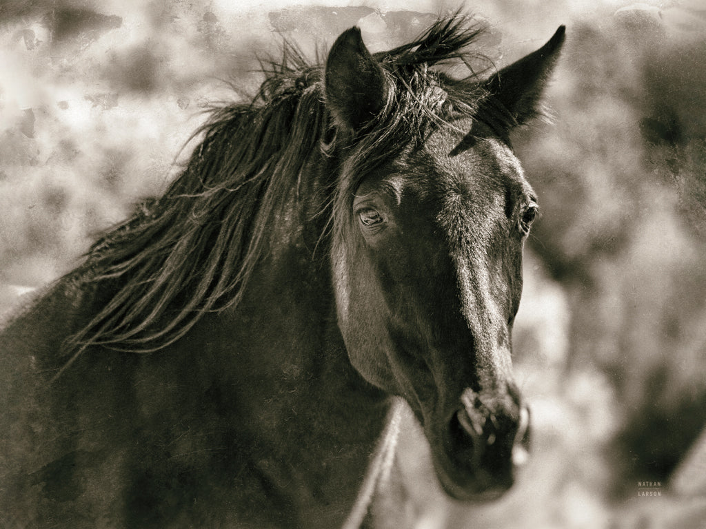 Reproduction of A Horse Called Utah Sepia by Nathan Larson - Wall Decor Art