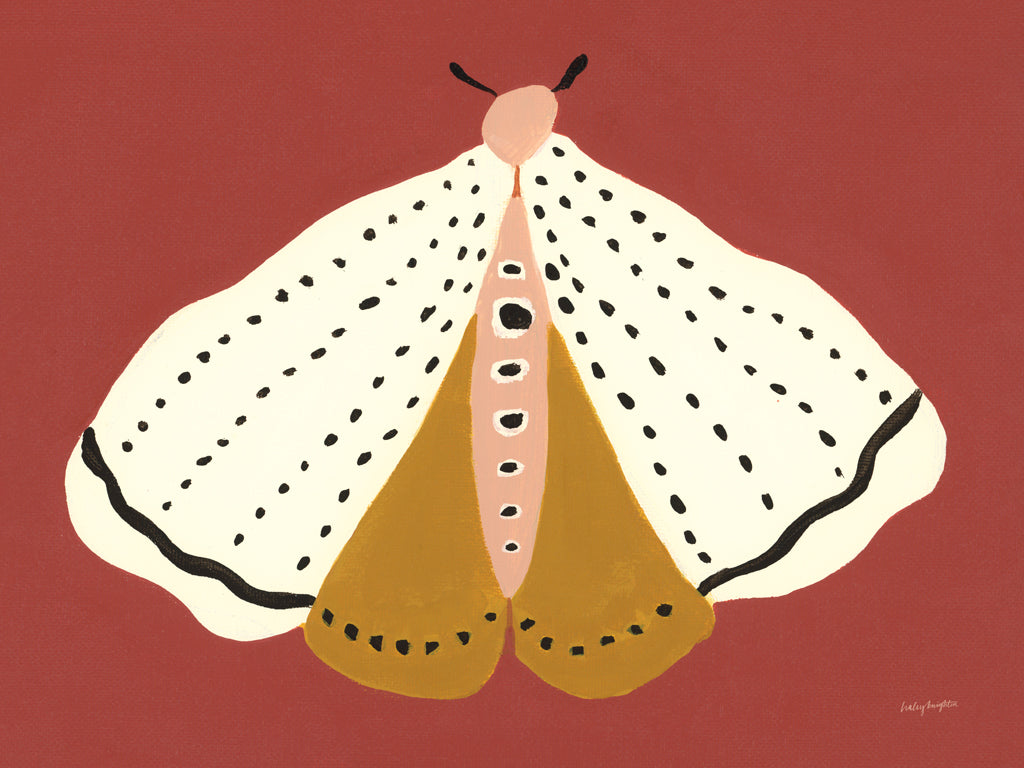 Reproduction of Cinnamon Moth by Haley Knighten - Wall Decor Art