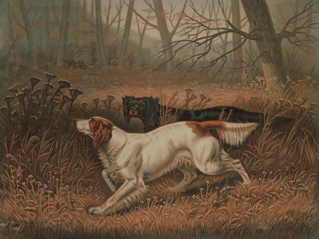 Reproduction of Quail Shooting by Public Domain - Wall Decor Art