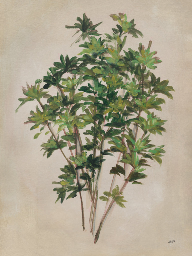 Reproduction of Herbal I by Julia Purinton - Wall Decor Art