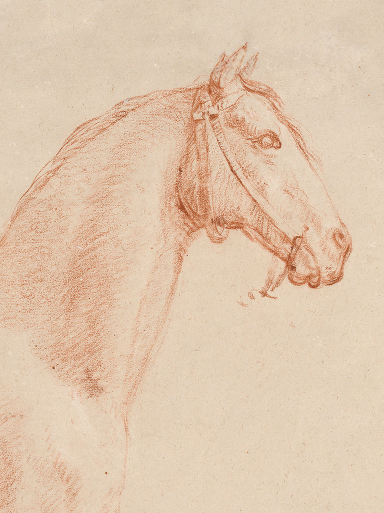 Reproduction of The Horse Aga by Public Domain - Wall Decor Art