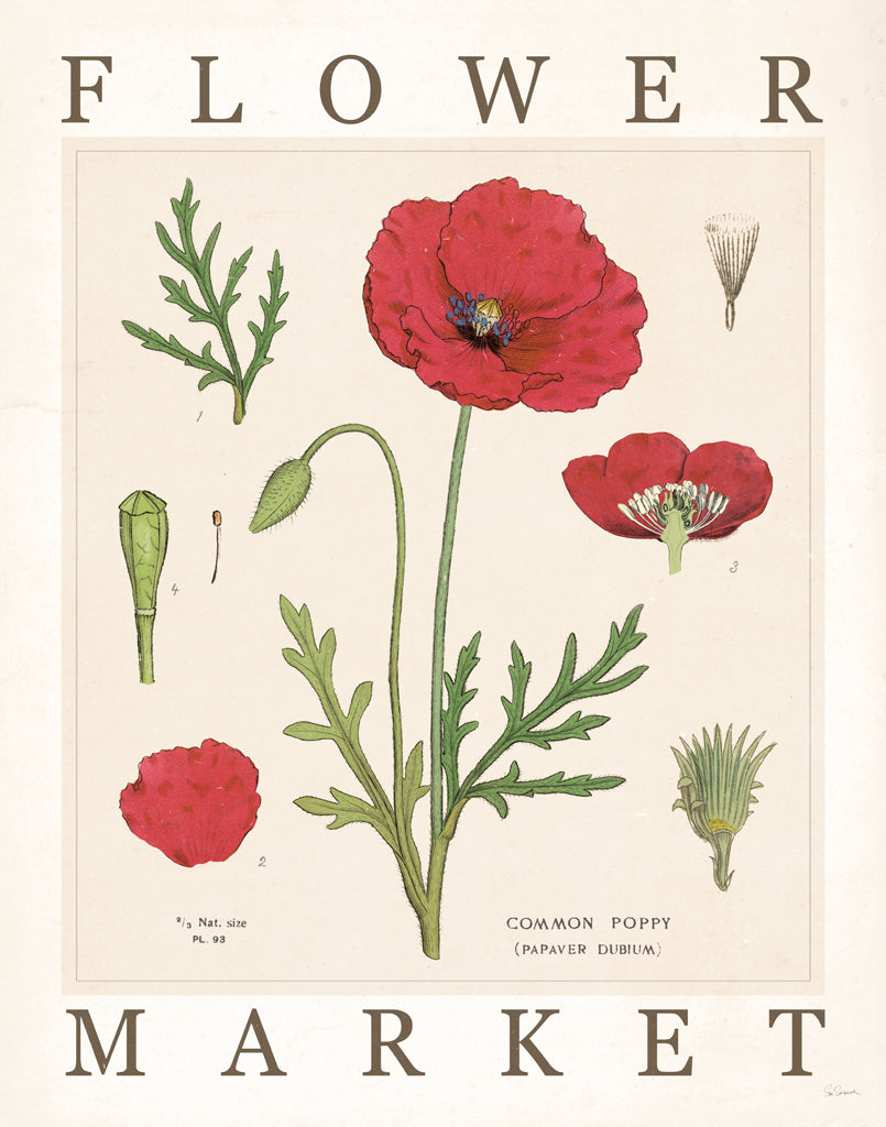 Reproduction of Flower Market Chart IV by Sue Schlabach - Wall Decor Art