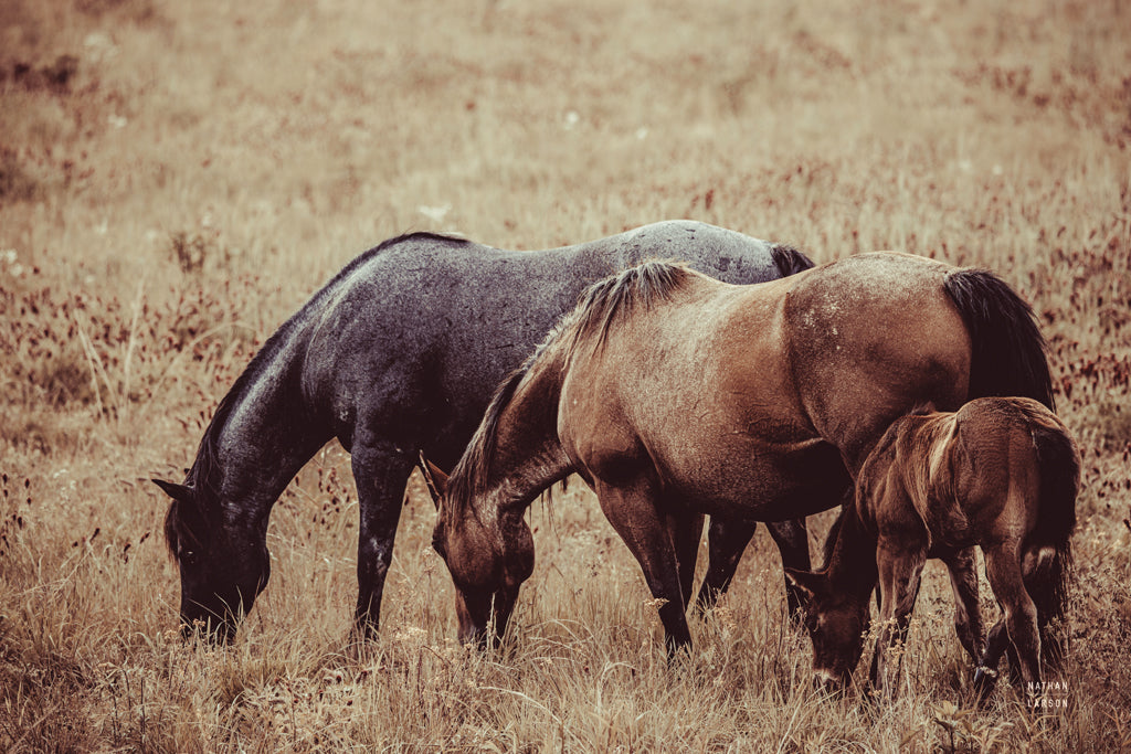 Reproduction of Together by Nathan Larson - Wall Decor Art