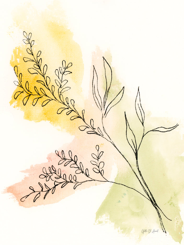 Reproduction of Illustrative Botanical II by Yvette St. Amant - Wall Decor Art