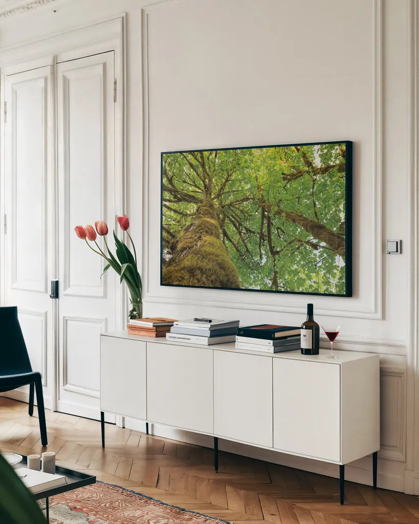 Big Leaf Maple Trees I by Alan Majchrowicz. shown as a framed stretched canvas in a living room above a console. Available as a archival giclee rolled canvas, fine art paper, or poster print. SKU 52757i.