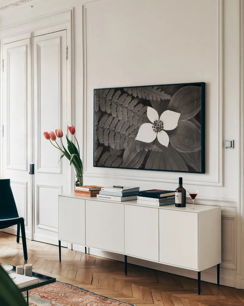 Bunchberry and Ferns II BW by Alan Majchrowicz. shown as a framed stretched canvas in a living room above a console. Available as a archival giclee rolled canvas, fine art paper, or poster print. SKU 46089i.