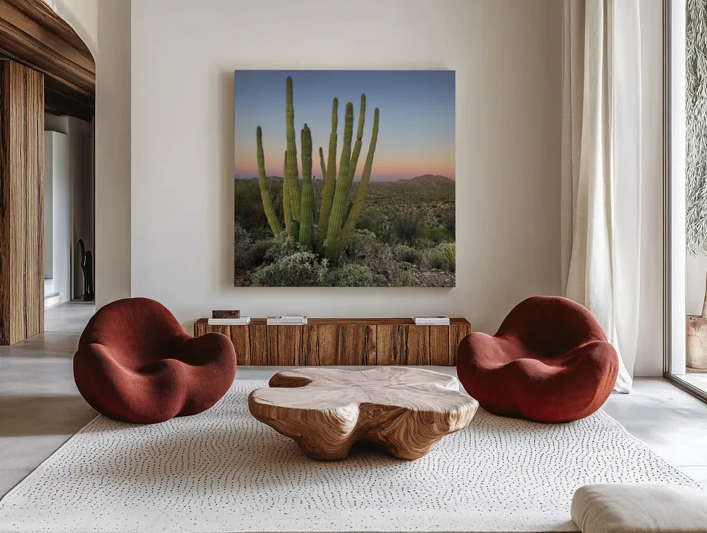 Organ Pipe Cactus at Dusk Crop by Alan Majchrowicz. Shown as extra-large giant wall art in a modern living room. Available as an archival giclee rolled canvas, fine art paper, or poster print. SKU 84035a.